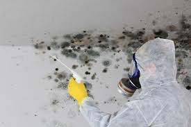 Best Mold Damage Restoration in Bakersfield, CA